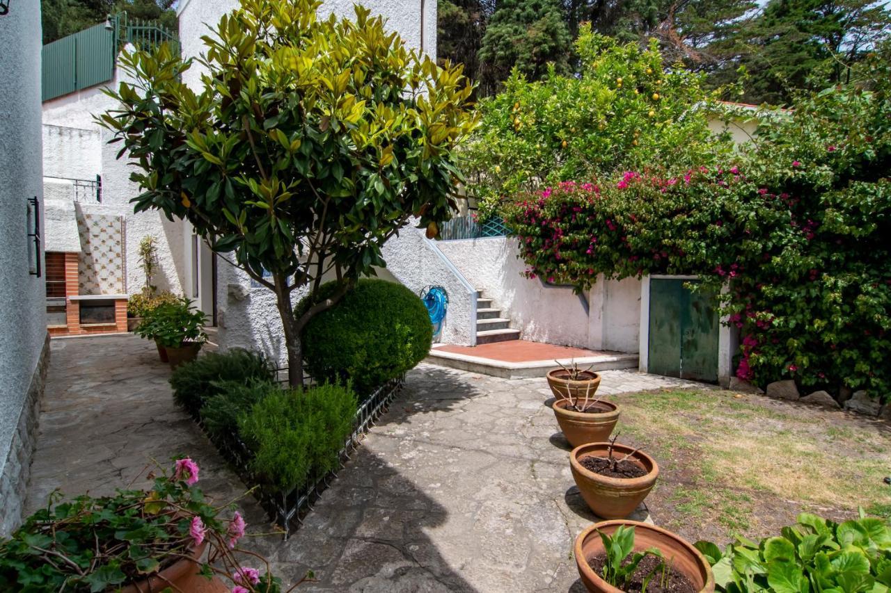 Vivenda Santiago Villa Sesimbra Eksteriør bilde
